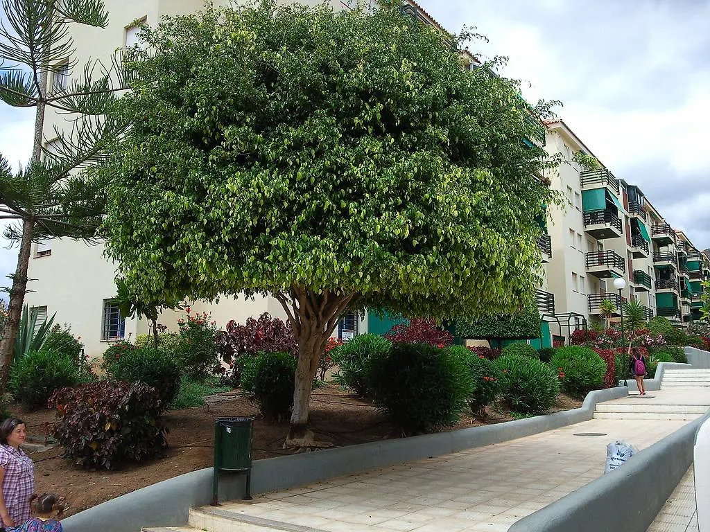 Apartment Cristimar Los Cristianos   Los Cristianos (Tenerife)