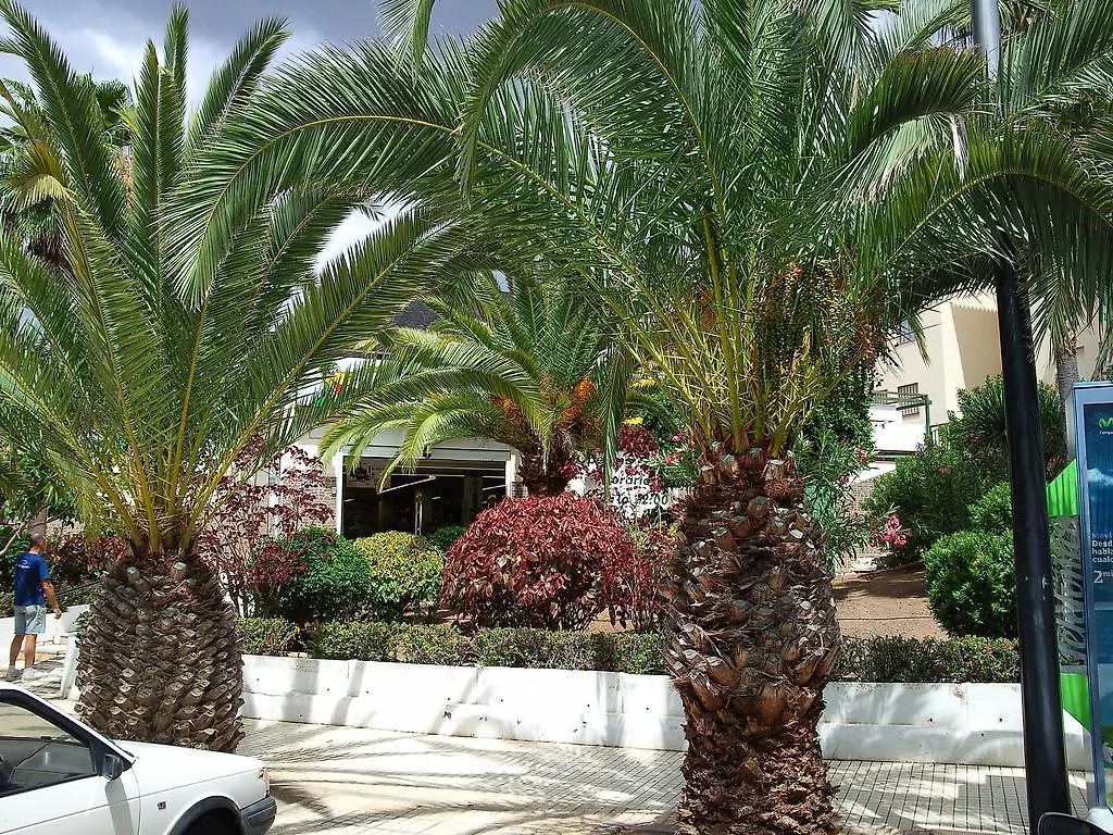 لوس كريستيانوس Apartment Cristimar 0*, لوس كريستيانوس
